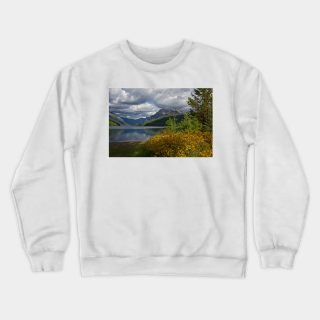 850_5117 Crewneck Sweatshirt by wgcosby